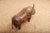 Animal Rhino Ottoman in Leather by Dimitri Omersa for Omersa, 1963 For Sale - Image 6 of 13