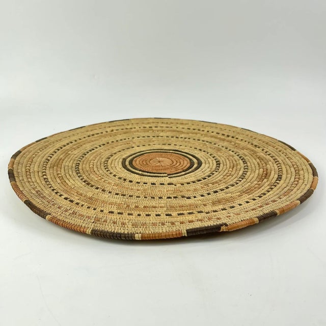 The Hausa women of Nigeria have a long history as basket weavers. In the past decades, basket making has assumed new...