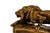 Rare Vintage Bronze-Clad "Lion À L'affût" (Stalking Lion) Statue in the Style of Isidore Jules Bonheur For Sale In Tulsa - Image 6 of 10