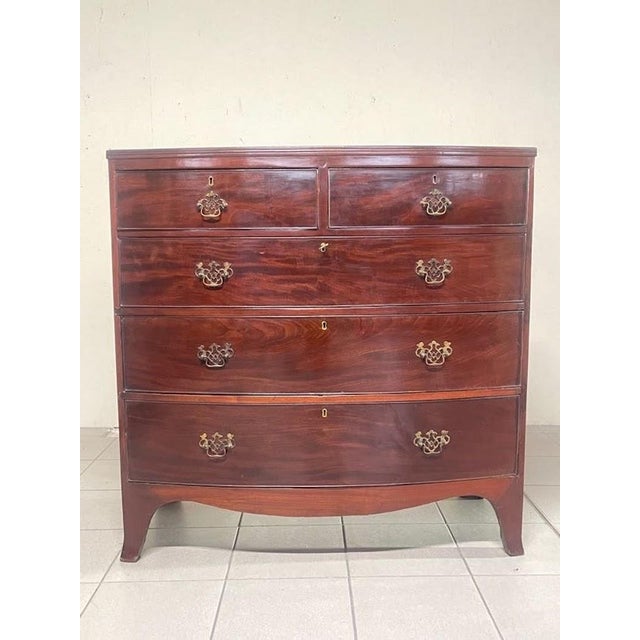 Regency-Style Chest of Drawers, Italy, 1950s For Sale - Image 11 of 15