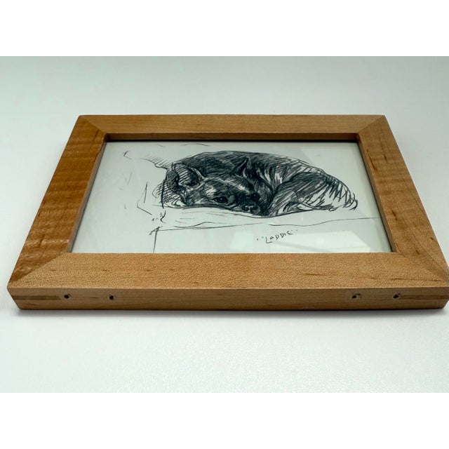 Framed Lucy Dawson Vintage Pencil Sketch Bulldog Print For Sale In Chicago - Image 6 of 6