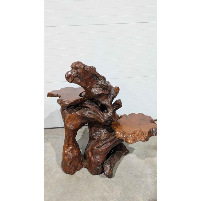 Carved Burl Wood Pedestal Plant Sculpture Stand / Coffee Table For Sale - Image 4 of 7