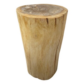 Andrianna Shamaris Minimalist Column Style Petrified Wood Side Table For Sale