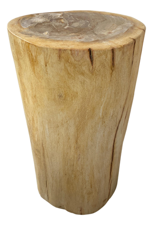 Andrianna Shamaris Minimalist Column Style Petrified Wood Side Table