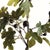 100% realistic a perfect copy of nature. This fig tree with figs potted dropin is a nomaintenance work of art. Right down...