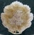 Mid 19th Century Minton Ironstone Leaf Dish For Sale In San Francisco - Image 6 of 12