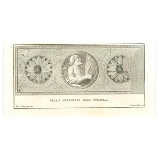 Vincenzo Campana, Ancient Roman Statues, Original Etching, 18th Century For Sale