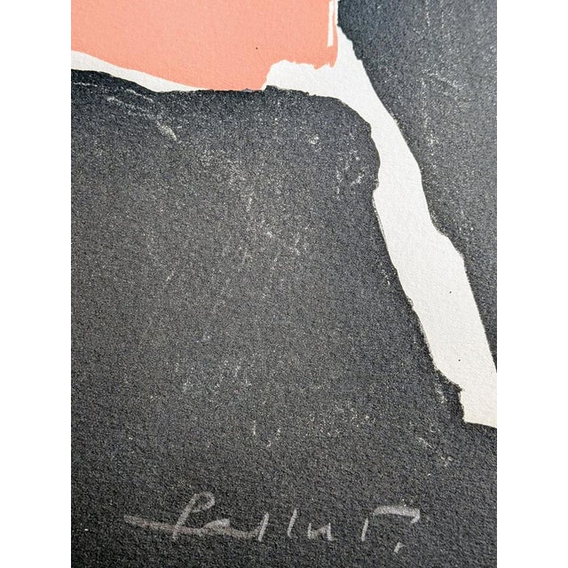 Pierre Pallut Original lithograph Signed in pencil on the lower right corner Numbered on 100 copies, 62/100 Copy on Arches...