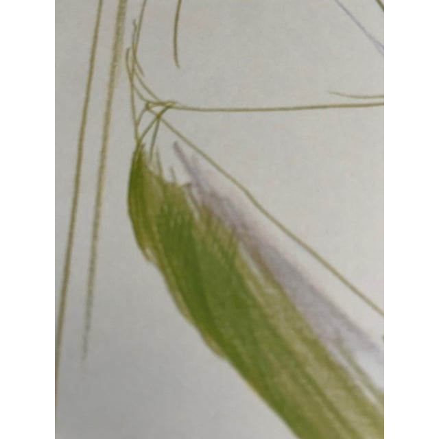 David Hockney, Dessins Et Gravures Exhibition Poster, Imp. Dermont-Paris, Printed in France For Sale - Image 10 of 11