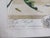 Silver 1700's Butterfly Natural History Engravings Reproductions in Contemporary Mirror Frames For Sale - Image 8 of 14