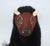 Brown Annalee Handpainted Wool Fleece & Felt Buffalo Figure, 1997 For Sale - Image 8 of 13