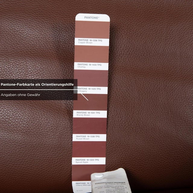 Animal Skin 3300 Leather Chair from Rolf Benz For Sale - Image 7 of 13