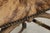 Theodore Alexander Antler Chair W. Animal Hide For Sale - Image 9 of 15