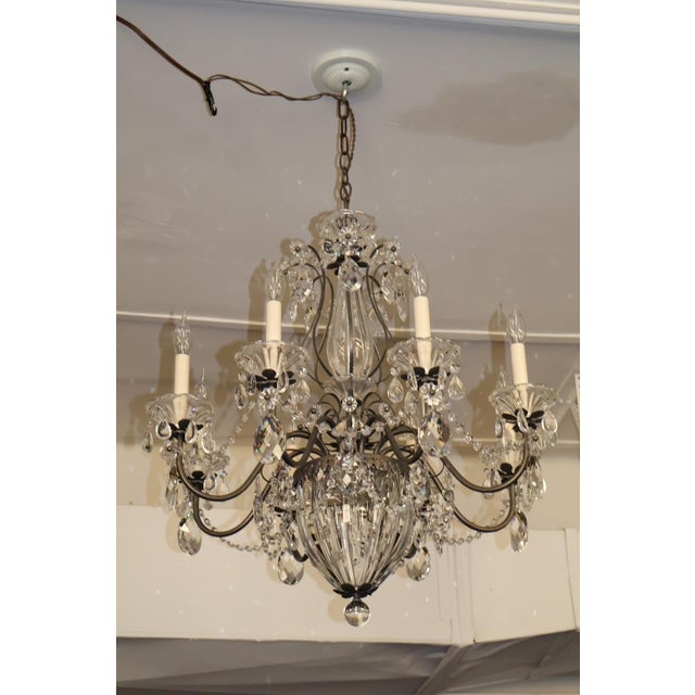 Schonbek Bagatelle 10 Light 1260-211 Crystal Chandelier 29 X 26.5 X 26.5 For Sale - Image 13 of 16