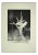 Leo Guida, Tree of Life, Etching, 1970s For Sale