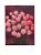 Paper "Carnations & Pinks" 1919 Cook, t.h., Douglas, James, McLeod, j.f. For Sale - Image 7 of 9