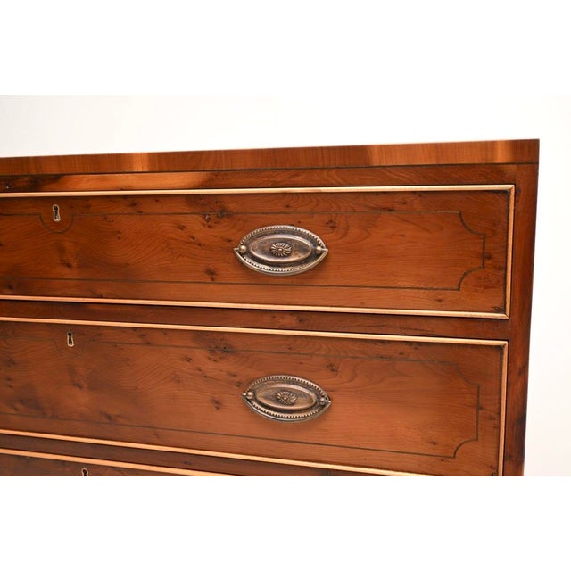 Vintage Regency Style Inlaid Yew Wood Chest of Drawers, 1960 For Sale - Image 9 of 11
