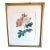 Gold Bead Framed Vintage Rose Print in the Style of Pierre Joseph Redoute (1759-1840) For Sale