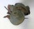 French Replica of 19th Century French Artist Auguste Moreau's Sculpture Signed 'Pêcheur' For Sale - Image 3 of 13