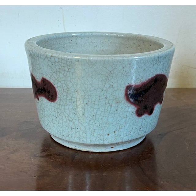 Antique 19th century Chinese crackle glaze celadon brush pot. Decorated with three fish on the sides in sang de boeuf red....