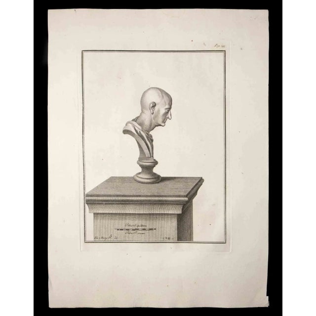 Ancient Roman Bust, from the series "Antiquities of Herculaneum", is an original etching on paper realized by Carlo Nolli...