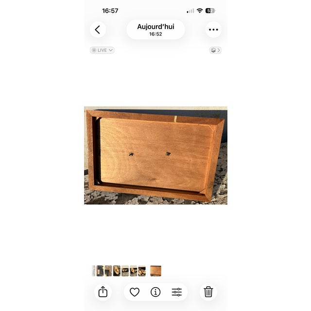 Medical Eviscerated Ear after Deyrolle, 1960, in Good conditions. Designed 1950 to 1959