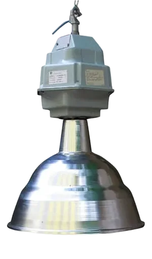 Vintage Industrial Ceiling Lamp