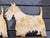 These 2 Scottish Terriers would be a fun addition to any home, in the garden or inside the house.