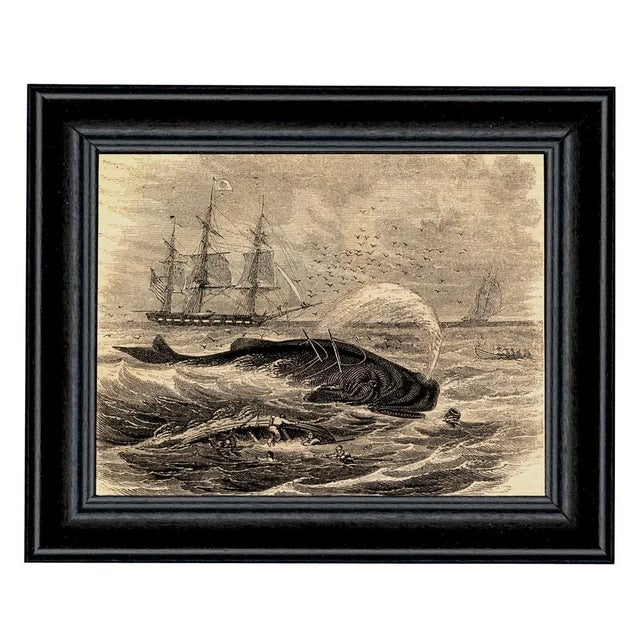American Pursuit of Sperm Whale Etching Framed Print Behind Glass in Black Wood Frame For Sale - Image 3 of 3