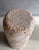 Contemporary Mycelium Composite Socket from Aifunghi For Sale - Image 3 of 5