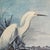 White Egret" by John James Audubon Vintage Print Framed in Beautiful Antique Walnut Frame. This illustration is part of...