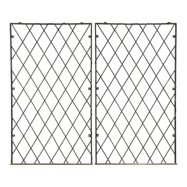 Pair of Reclaimed Industrial Wrought Iron Security Panels 36.75 X 64.375 In. For Sale