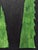 2020s Emmanuel Araujo "Black Hedge" Contemporary Green Geometric Hard-Edge Abstract Painting, 2024 For Sale - Image 5 of 9