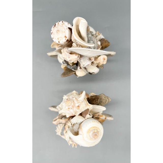 Pair of Coastal Shell Topiary Urn Topiary Sculptures by Artist – Coastal / Organic Modern For Sale - Image 13 of 17