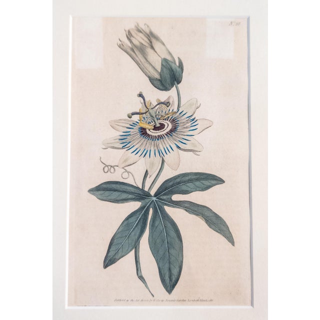 We are selling this great 18th century hand colored Copper Engraving. This engraving is plate number 28 featuring...