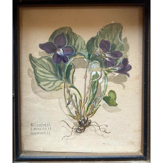 Realism Petite Antique 1930’s Detailed Watercolor of Violets by Elizabeth Lansdell Hammell For Sale - Image 3 of 6