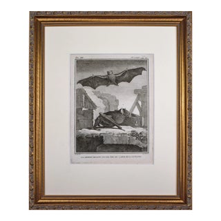 18th Century Original French Bat Engraving by Buffon 1789 For Sale