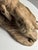 Armand Fagotto, Lion, Terracotta For Sale - Image 9 of 18