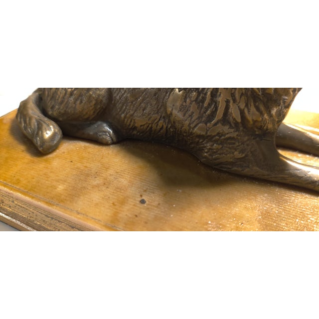 Metal Vintage Sculpture ~ Bronze Wolf Lying on Top of a Book For Sale - Image 7 of 11