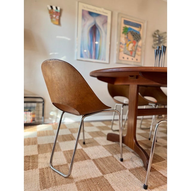 A Set of 8 Mid Century Modern Italian “Medea” Chairs, Designed by Vittorio Nobili for F.lli Tagliabue, Circa 1950s. Not Markd. For Sale - Image 10 of 12