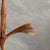 Mid-Century HandCarved and Painted Rustic Rooster Pair Farmhouse Style For Sale In New York - Image 6 of 7