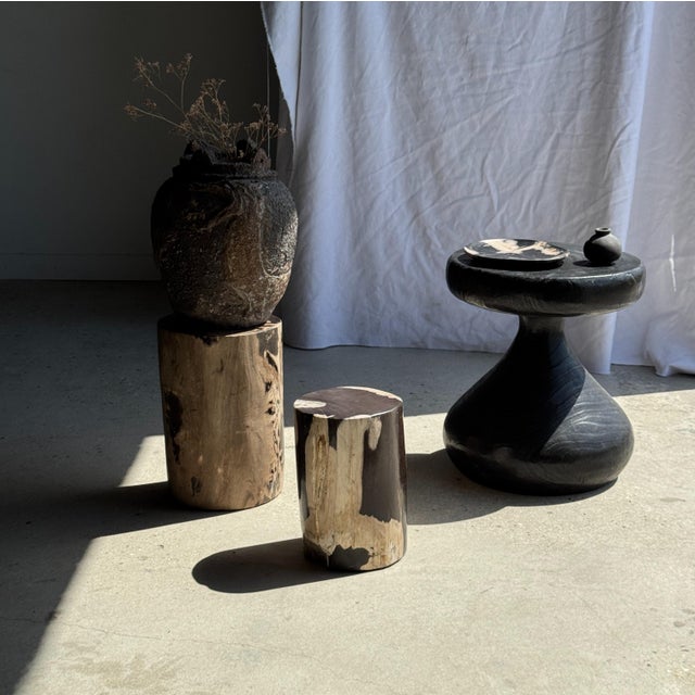 1980s Small Side Table in Black and White Petrified Wood, 1980s For Sale - Image 5 of 18