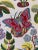Textile Schumacher 176181 Exotic Butterfly Multi Fabric 4 1/2 Yards For Sale - Image 7 of 7