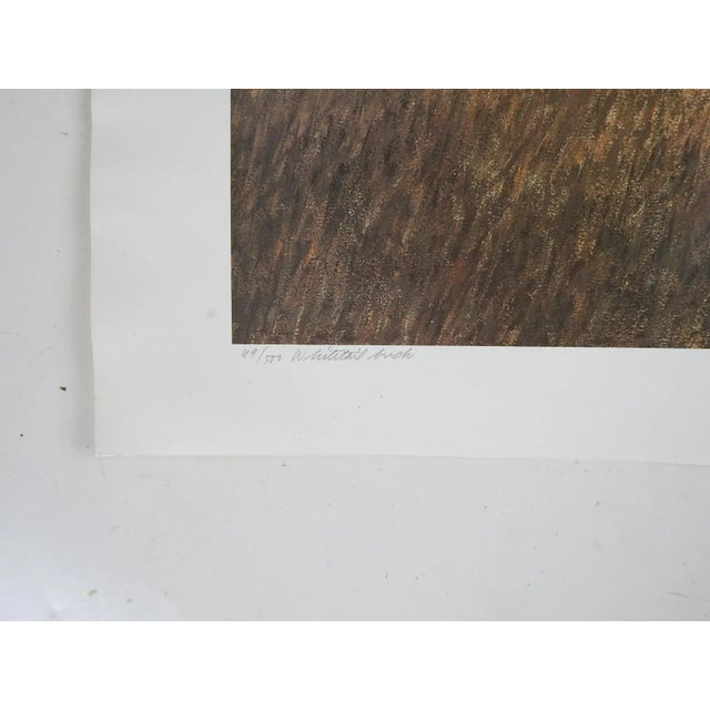 Rustic 1984 Charles Beckendorf Whitetail Buck Print For Sale - Image 3 of 4