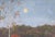 Realism Antique Forest Landscape Painting, Ukrainian Soviet Art, 1980 49-75 For Sale - Image 3 of 6