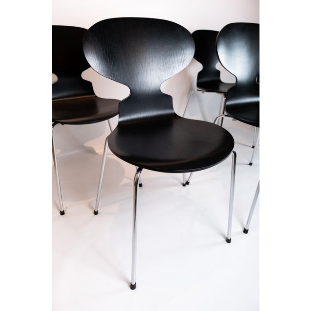 Black Ant Model 3101 Dining Chairs by Arne Jacobsen for Fritz Hansen, 2002, Set of 4 For Sale - Image 3 of 12