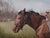 Wild at Heart by Mo Myra | Watercolor on paper of a brown horse in a grassy field. For Sale
