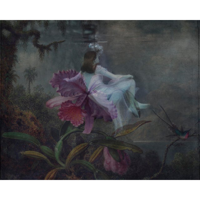 "Zanadu" Contemporary Fine Art Photograph by Erika Masterson For Sale