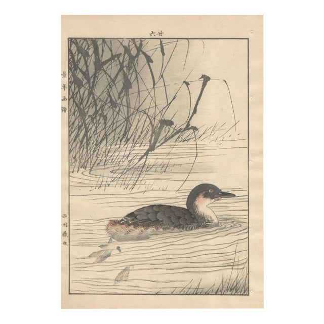 Imao Keinen, Little Grebe from Keinen Kacho Gafu, 1892, Woodblock Print For Sale - Image 13 of 13