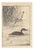Imao Keinen, Little Grebe from Keinen Kacho Gafu, 1892, Woodblock Print For Sale - Image 13 of 13